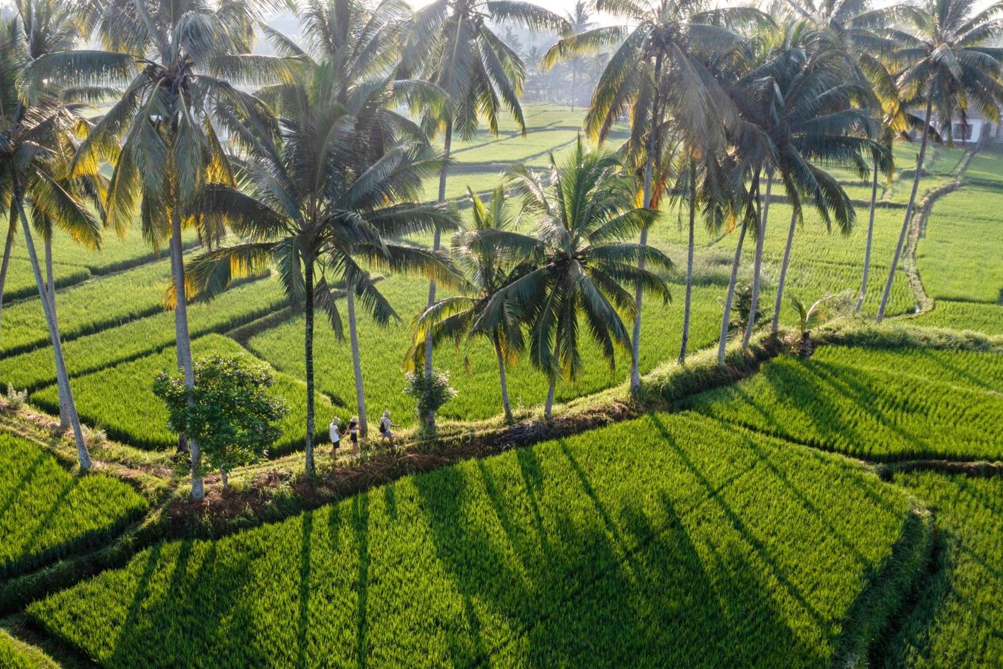 Wooden Ganeca Villas By Pramana Villas Ubud Esterno foto